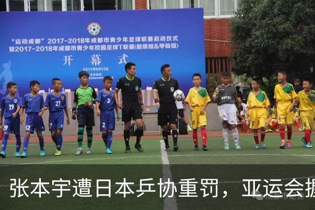 张本宇遭日本乒协重罚，亚运会握手事件揭露日乒内部分歧