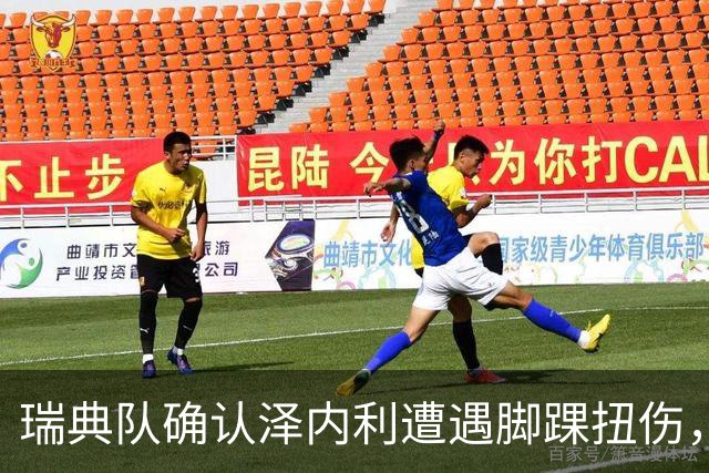 瑞典队确认泽内利遭遇脚踝扭伤，出战欧国联仍待观察